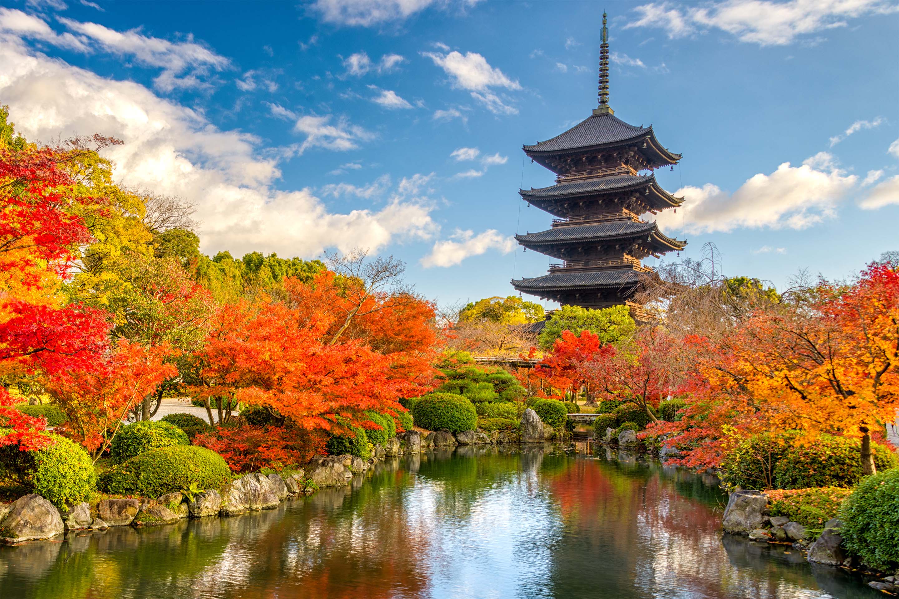 Japan, Kyoto Toji Pagoda - Alcon Viajes || Agencia de viajes - Córdoba